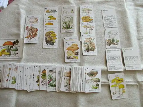 Pilze kennen- Pilze sammeln Kinder Kartenspiel Lehrquartett unbespielt komplett
