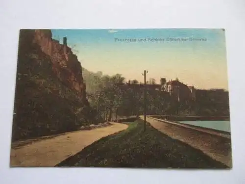 seltene AK Grimma Feueresse und Schloß Döben  1915