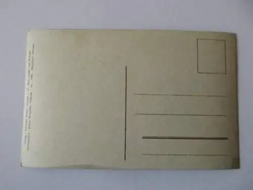 seltene AK Grimma  Paul Gerhard - Straße 1909