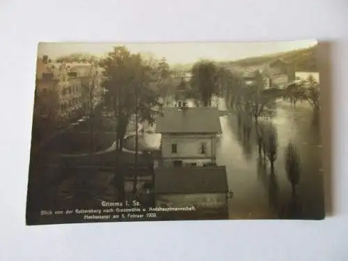 seltene AK Grimma  Blick vom der Gattersburg 1909