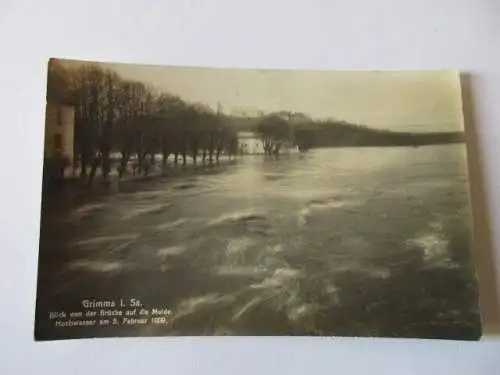 seltene AK Grimma  Blick von der Brücke 1909