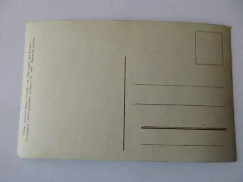 seltene AK Grimma  Blick von der Brücke 1909