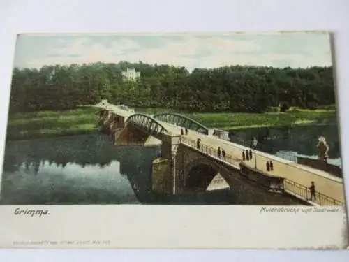 seltene AK Grimma Muldenbrücke und Stadtwald