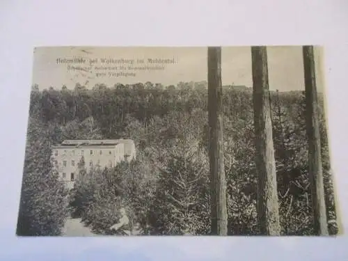 seltene AK Holzmühle bei Wolkenburg im Muldental gel. 12.8.25