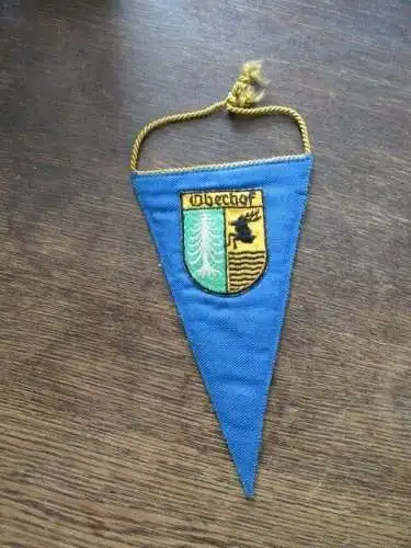 DDR WM Rennschlittensport Oberhof 1973 Wimpel 