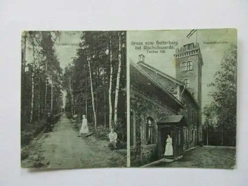 seltene Ak Gruss vom Butterberg Bischofswerda Försterweg Aussichtsturm 1903