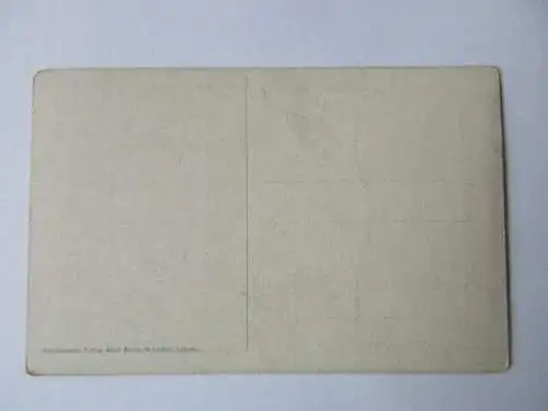 seltene AK Leipzig Dr. Haller`s Privat Institut Gohlis um 1910 ungel.
