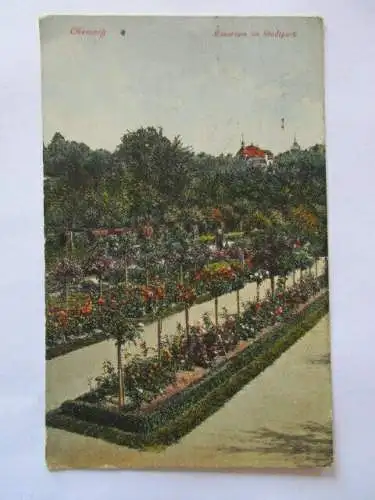 Ak Chemnitz Rosarium im Stadtpark 1926