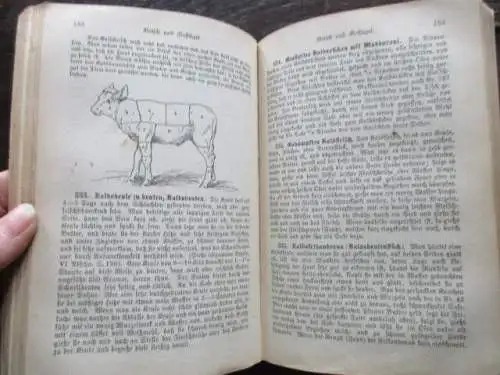 Sophie W. Scheibler allgemeines deutsches Kochbuch für alle Stände Leipzig 1894