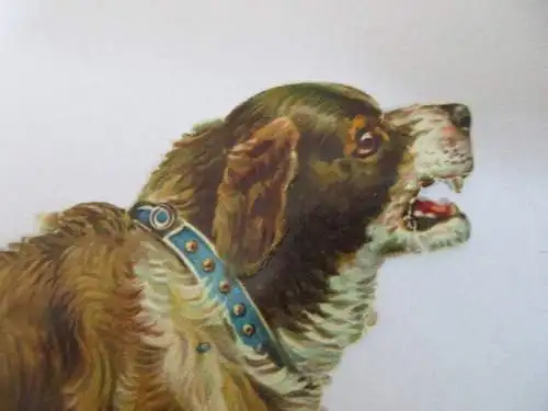 eine wunderschöne alte XL Oblate Glanzbild Hund um 1910 ca. 11 x 14 cm