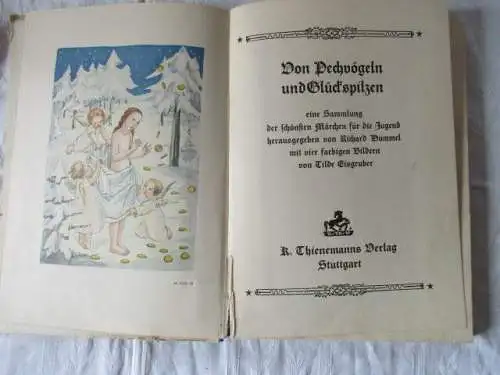 Pechvögel und Glückspilze Sammlung schönster Märchen Richard Hummel um 1920