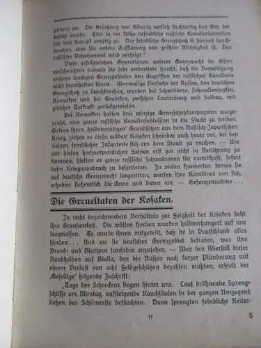 Der Weltkrieg Ursachen und erste Erfolge Ferdinand Malkowsky 1. Teil um 1915