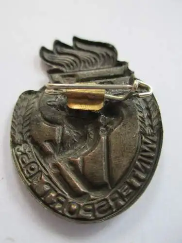 DDR Abzeichen Pioniere Wintersport 1953