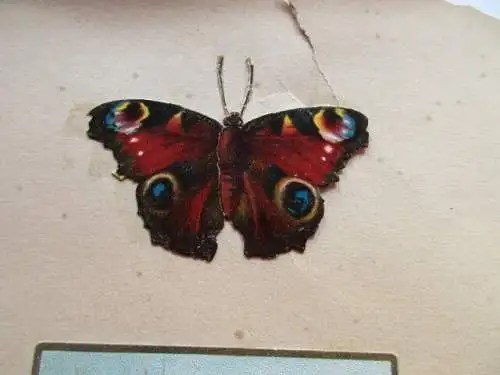 3 schöne alte Präge Oblaten Glanzbild Schmetterling Esel Bloumen um 1900