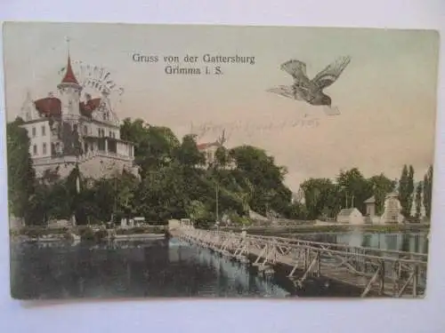seltene alte Ak Gruss von der Gattersburg Grimma Sachsen Brieftaube gel. 1908