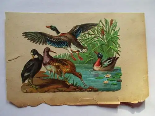 schöne alte Präge Oblate Glanzbild Enten Vögel um 1900  ca. 13 x 9,5 cm