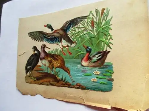 schöne alte Präge Oblate Glanzbild Enten Vögel um 1900  ca. 13 x 9,5 cm