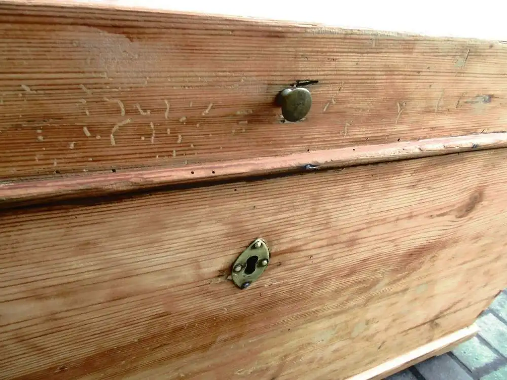 Truhe Jugendstil um 1900 Weichholz Runddeckeltruhe Nr. 9 1