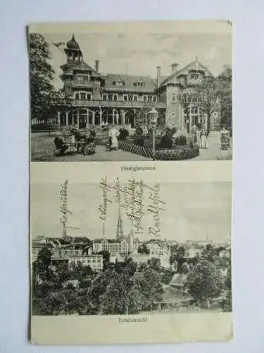 seltene Ak Löbau Honigbrunnen Totalansicht um 1910