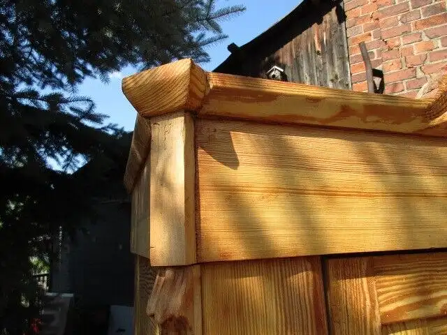 Kleiderschrank  Schrank  Louis Philippe um 1860 Weichholz 2