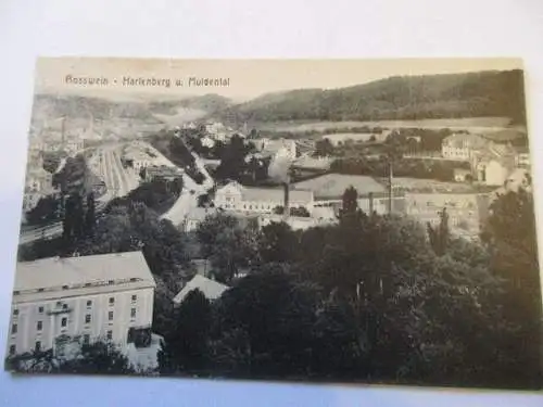 seltene AK Rosswein - Hartenberg  u. Muldental 1927