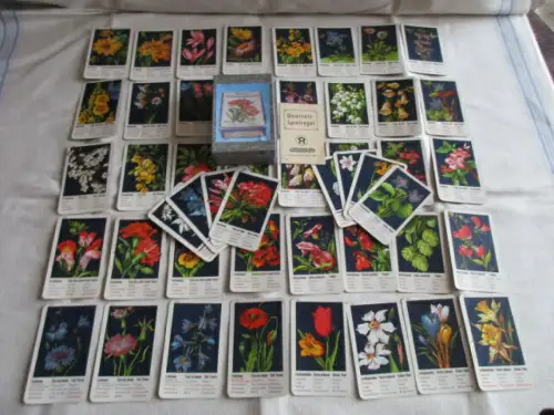 Neues Blumen Quartett O. & M. Hausser Ludwigsburg um 1915 RAR