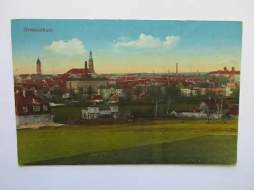 seltene alte Ak Großenhain Sachsen Totalansicht 1916 