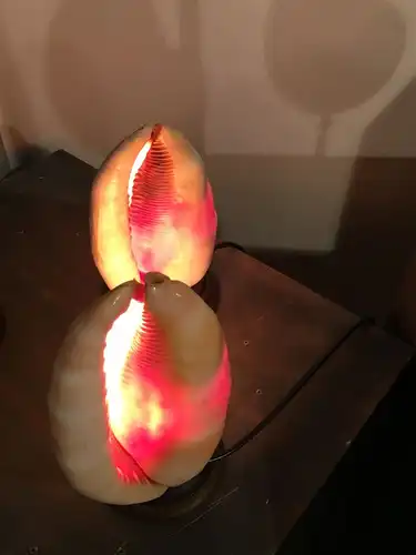 Zwei italienische Muscheln- Tischlampen 