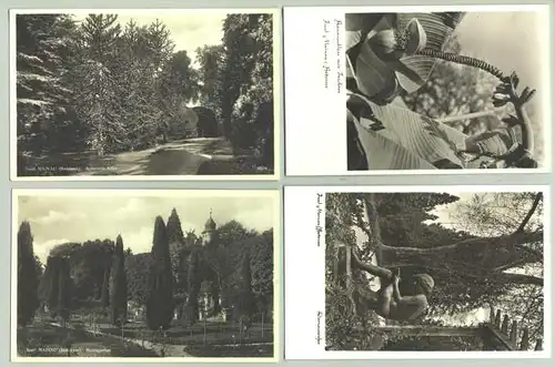 (1021678)  4 Ansichtskarten mit Motiven von der Insel Mainau. PLZ-Bereich pauschal 78465. Postalisch nicht gelaufen, vermutlich ab 1938 - bis 1950er Jahre ?