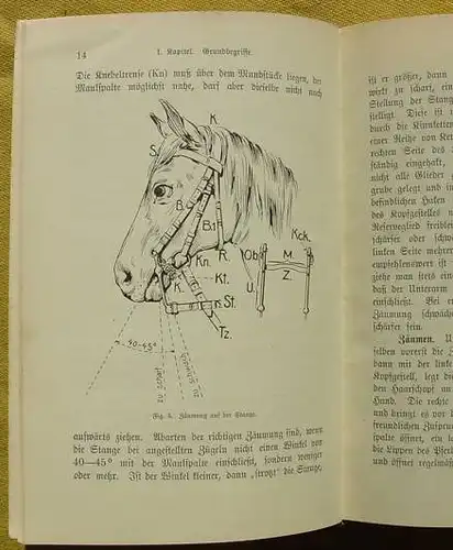 Reitkunst u. Pferdepfl. 1905 () "Im Sattel und im Stall" - 'Die Grundlagen der Reitkunst u. Pferdepflege'. Von Graf v. Norman