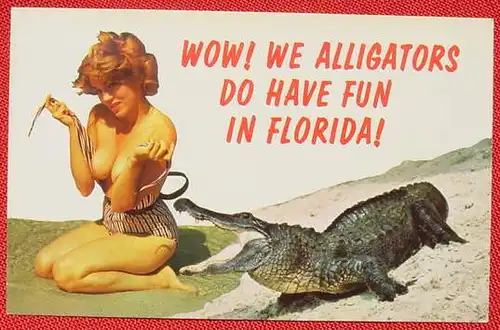 (1032786)  AK Florida / Erotic, um 1960 ? Alter unbekannt, um 1960er Jahre