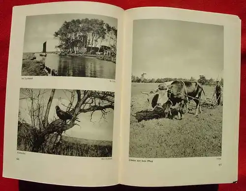 () Hermann Loens "Im flammenden Morgenrot". 1. A. 1933. Tier-, Jagd- und Naturschilderungen ...., ausgewaehlt u. Vorwort v. Heinrich Sohnrey