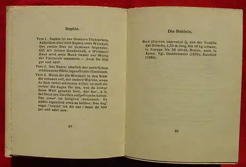 (2002511)  Christian Morgenstern "Über die Galgenlieder". 60 Seiten. Halbleinen. Deckelbild. Format ca. 14 x 18 cm. Bruno Cassirer-Verlag, Berlin 1921