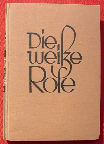 (1010934) Traven "Die weisse Rose" (Oil Company / Mexiko) 206 S., Gutenberg, Berlin 1929