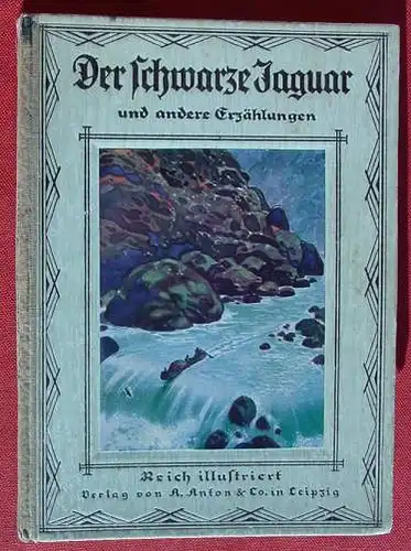 () "Der schwarze Jaguar" Jugendbuch. Abenteuer. Farbbilder. Anton-Verlag, Leipzig