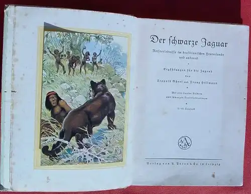 () "Der schwarze Jaguar" Jugendbuch. Abenteuer. Farbbilder. Anton-Verlag, Leipzig