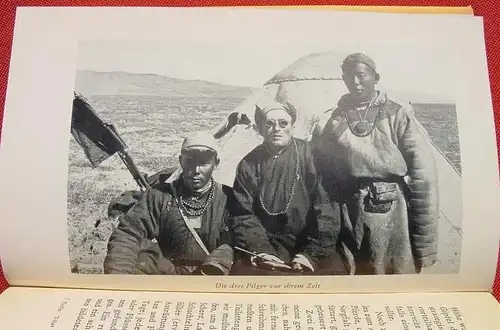 (1012579) Sven Hedin "Abenteuer in Tibet". 168 S., 21 Tafelbilder. Neue Ausgabe. 1954 Brockhaus, Wiesbaden