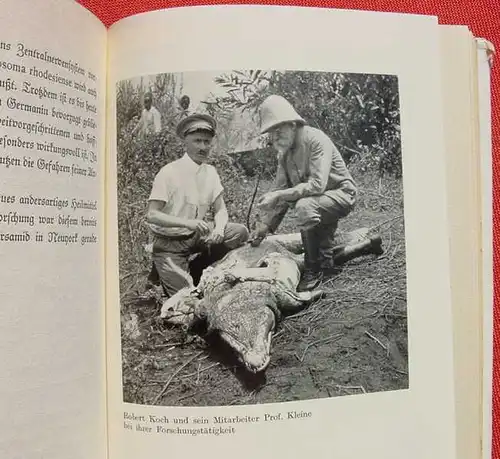 () Unger "Germanin". Geschichte einer deutschen Grosstat. 1938 Deutsche Aerzteschaft, Berlin