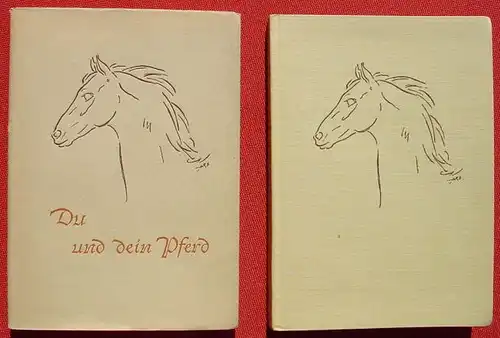 (1012686) "Du und dein Pferd" 12 Zeichnungen v. Renees Sintenis. Kanter Verlag, Berlin / Koenigsberg