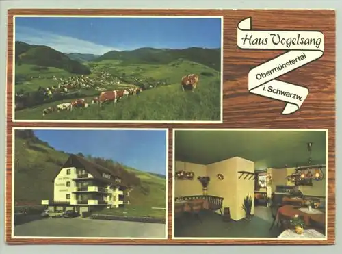 Obermünstertal 1972 (intern : 1022161) Ansichtskarte. Haus Vogelsang. PLZ-Bereich pauschal 79244