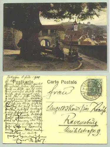 (0081195)  Ansichtskarte. Tübingen - Schlosslinde. PLZ-Bereich pauschal 72074. Postalisch gelaufen 1908