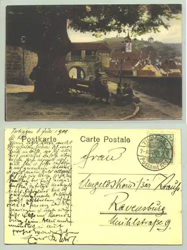 ()  Ansichtskarte. Tübingen - Schlosslinde. PLZ-Bereich pauschal 72074. Postalisch gelaufen 1908