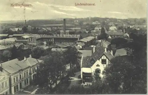 (0080542)  Ansichtskarte "Kellinghusen - Lindenstrasse". mit Marke u. Stempel von 1907
