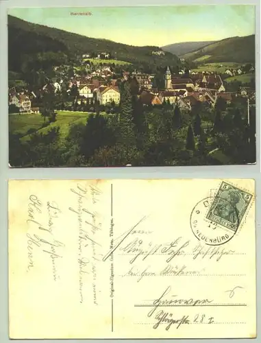 Herrenalb 1910 ? (intern : 1021204) Ansichtskarte. PLZ-Bereich pauschal 76332. Postalisch gelaufen 1910 ?