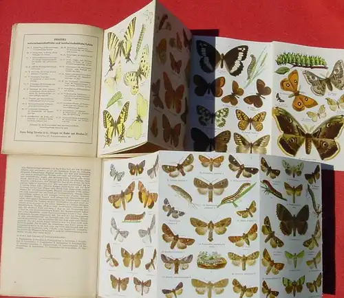 (0300052) "Schmetterlinge und Raupen" Schreibers Kleine Atlanten. Siehe bitte Beschreibung u. Bilder