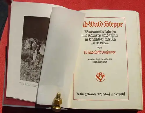 () Radclyffe Dugmor "Wild Wald Steppe" Britisch-Ostafrika. Siehe bitte Beschreibung u. Bilder