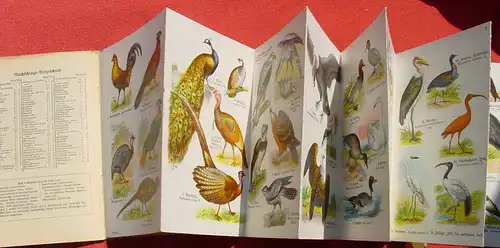(0300131) "Fremdländische Vögel" Schreibers kleiner Atlas. Siehe bitte Beschreibung u. Bilder