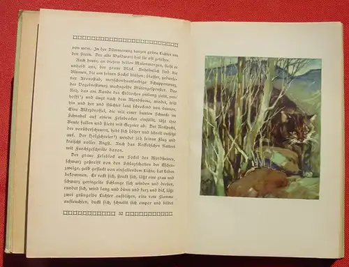 (0300127) Löns "Goldhals" Sponholtz' Jugendbücherei. 148 S., siehe bitte Beschreibung u. Bilder