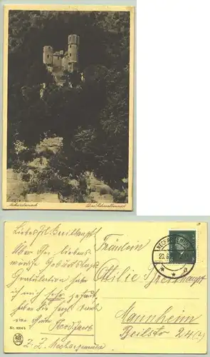 (1019700) Ansichtskarte "Neckarsteinach / Das Schwalbennest"