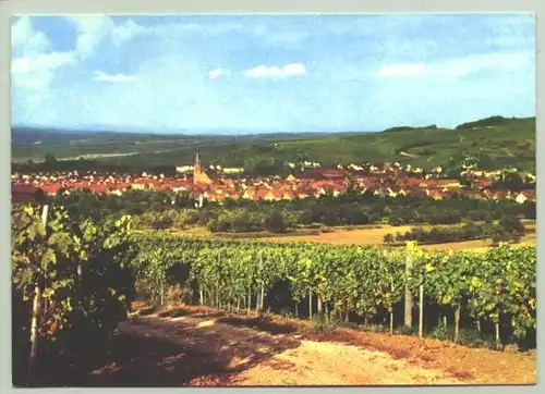 (1019692) Ansichtskarte "Weinstadt Rauenberg"